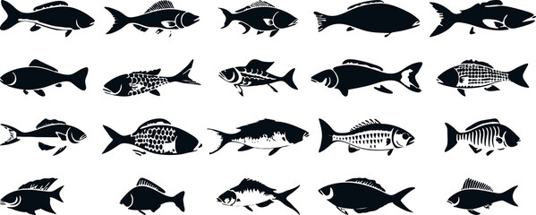 fish silhouettes set illustration