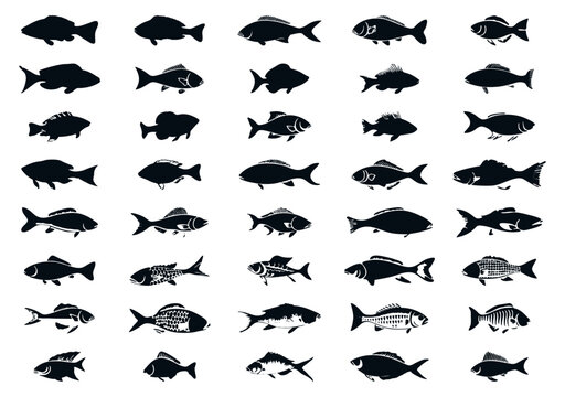 sea fish silhouettes set illustration