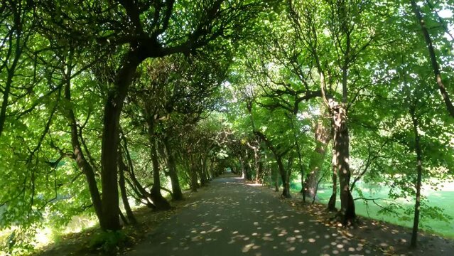 Park Oliva landscape place for rest walk beautiful trees bushes flowers Gdansk Poland
