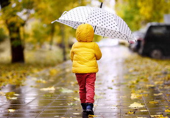 Little child walking in the city park at rainy autumn day