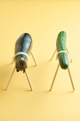 お盆の飾り　精霊馬　summer in japan