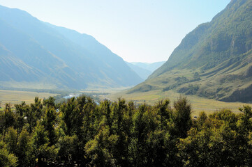 Looking over the top of the trees at a beautiful valley filled with the rising sun, surrounded by...