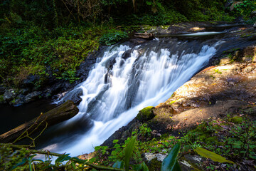 tropical waterfall surrounded by lush vegetation in springbrook national park, warrie circuit in gondwana rainforest near gold coast, queensland, australia