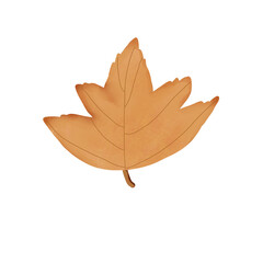 Obraz premium autumn maple leaf