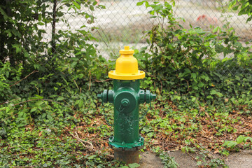 Fototapeta na wymiar Vibrant urban symbol, fire hydrant on street embodies safety, readiness, and civic protection in emergencies. Iconic fixture poised for action