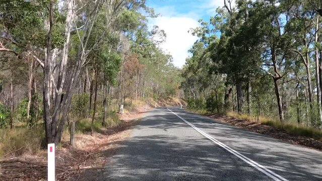 Scenic Footage of Driving on Country Road, Springbrook, Gold Coast, QLD, Australia