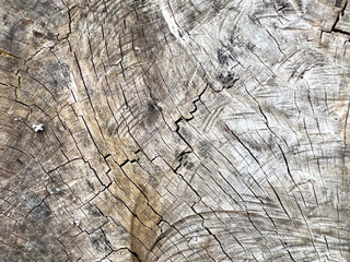 Old grunge dark textured wooden background