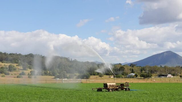 Rain Gun Sprinkler Watering Agricultural Wheat Field