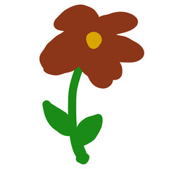 Red daffodil flower isolated on white