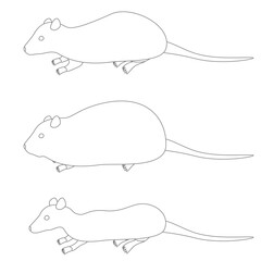 シンプルな実験用ラットの線画イラスト