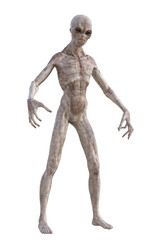 Grey alien on transparent background, 3d render