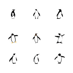 Modern Penguin Cartoon Logo Design Set