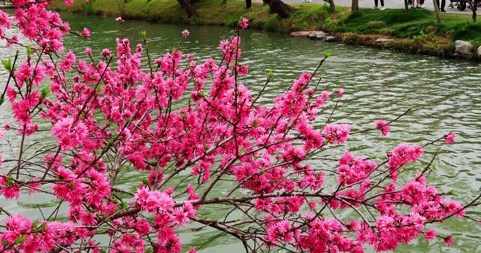Slender West Lake is located in the northwest suburb of Yangzhou City. It has formed a basic pattern in the Kang-Qian period of the Qing Dynasty, and has the reputation of "garden abundance, the best 
