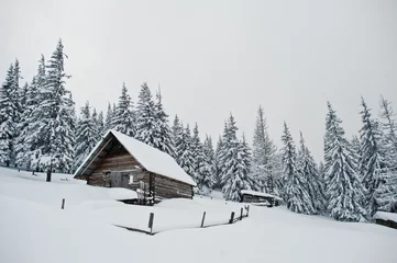 Fotobehang Wooden house at pine trees covered by snow on mountain Chomiak. Beautiful winter landscapes of Carpathian mountains, Ukraine. Frost nature. © Nelu