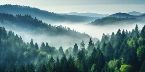 Gordijnen Mystical Autumn Fog in Black Forest, Germany - Enchanting Landscape with Rising Fog, Autumnal Trees, and Firs - Panoramic Banner in Dark Autumn Mood © Asad
