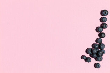 Blueberry, isolated on pink background, top view