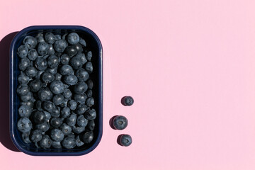 Blueberry in a blue plastic lunchbox, isolated on pink background