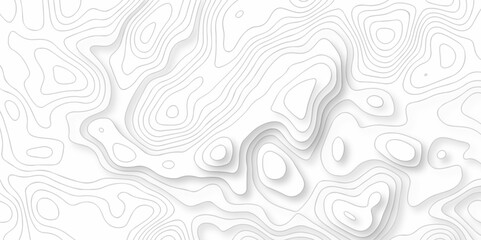 Seamless pattern with lines White wave paper curved reliefs abstract background, Abstract topographic contours map background. Abstract black and white topographic contours lines of mountains.