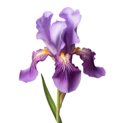 Zelfklevend Fotobehang iris flower isolated on white png transparent  © PNG STORE