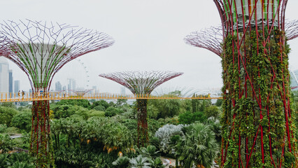 gardens by the bay