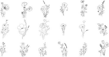 minimal line flower and botanical graphic sketch drawing, trendy tiny tattoo design, floral elements vector illustration - 625418460