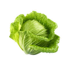 Fototapeta premium Cabbage isolated on white png transparent background