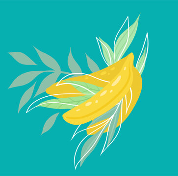 Vector flat illustration of a bunch of bananas and foliage on a turquoise background. Juicy tropical fruit with leaves