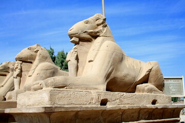 Fototapeta na wymiar Luxor, Egypt - 11.24.2012. Karnak Temple, alley of sheep-headed sphinxes