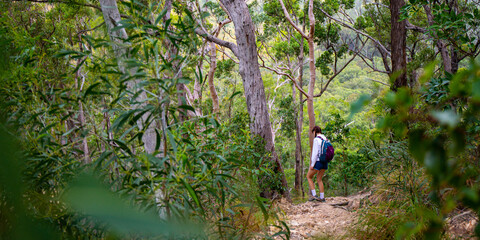 beautiful girl with backpack hiking through dense bush in mount barney national park, queensland, australia; large mighty mountains near brisbane and gold coast	