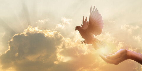 white dove flying happily on praying hand , hope and freedom concept. - obrazy, fototapety, plakaty