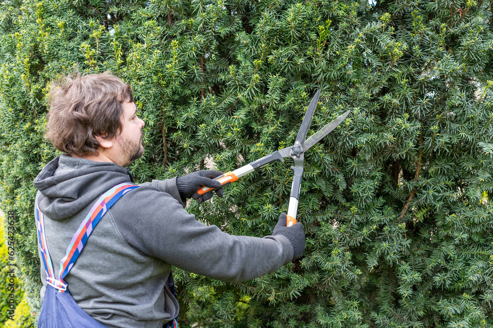 Poster man gardener in protective clothes and gloves with garden shears, scissors or secateurs cutting a he