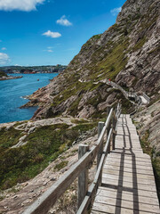 Wooden trail along cliffs overlooking harbour of  St. John's, Nfld.