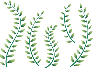 葉っぱ／植物／つた／ナチュラル／自然／グラフィック素材