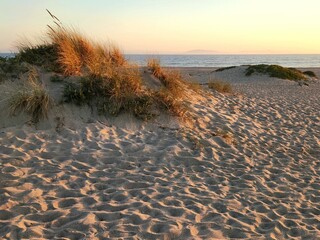 The Dunes Are Warm Glow