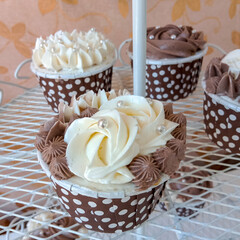 The chocolate cream cupcakes background