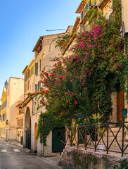 Bougainvillea covered traditional old houses on a street near the local covered provencal farmers market in old town or Vieil Antibes, South of France