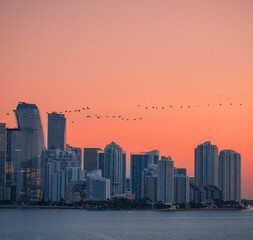 Fototapeta premium city skyline at sunset miami