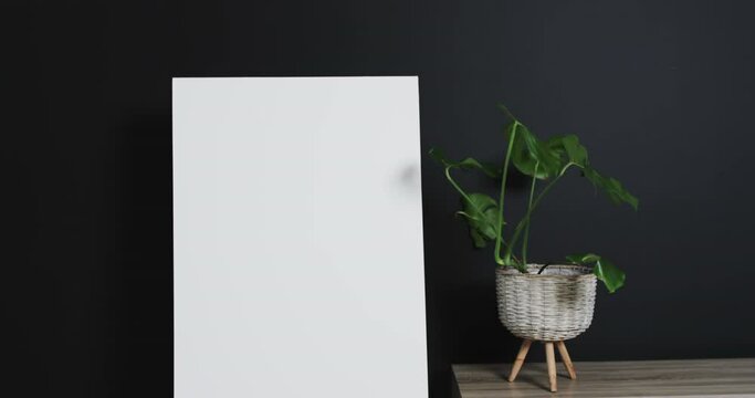 Video of white canvas sign on wooden easel with copy space and plant on desk on black background