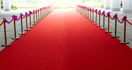 Red carpet entrance with the stanchions and ropes