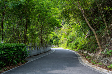 Obraz premium Yangtai Mountain Forest Park hiking trail