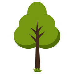 Tree Illustration