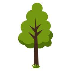 Tree Illustration