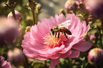 Fototapete Rund a bee collects pollen from flowers in the garden © Ployker