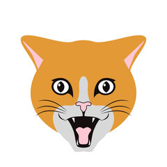 Cat Face Cute Expression