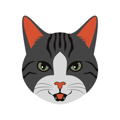 Cat Face Cute Expression