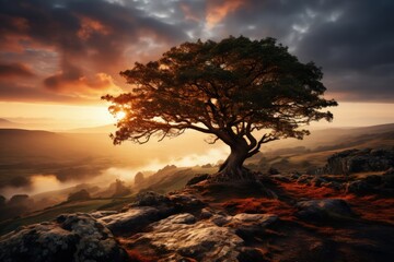 Fototapeta na wymiar Tree at hill top, sunrise, misty morning, foggy, sunrays. Made with Generative AI