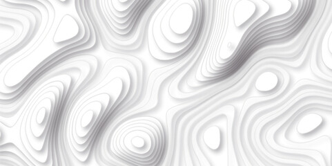 Topographic map background geographic line map with elevation assignments. The black on white contours vector topography stylized height of the lines map.