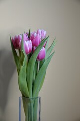 Bouquet of pink blooming tulips in a glass vase on yellow wall background with shadows. Romantic concept. Photographed in portrait mode. High quality photo