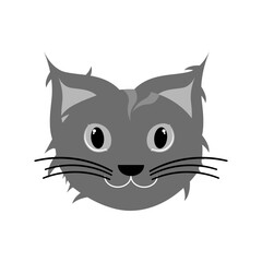 Cat Face Illustration