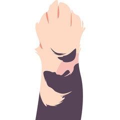 Cat Paw Illustration